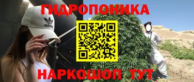 ПСИЛОЦИБИНОВЫЕ ГРИБЫ Аргун